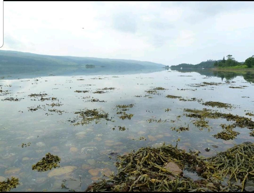 Quirky Lochside Home Inveraray Exterior photo